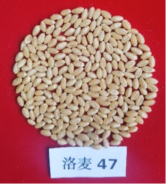 图片5.png