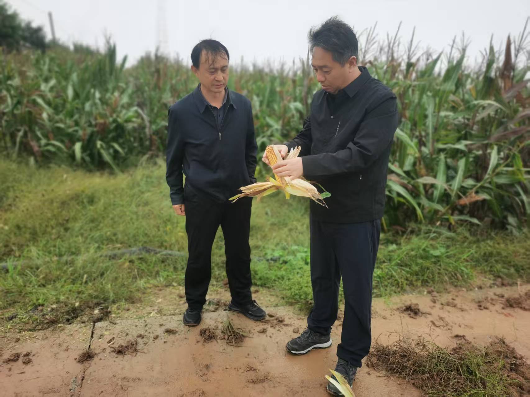 图片4.jpg
